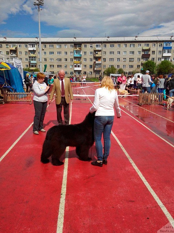 Фотография № 182150