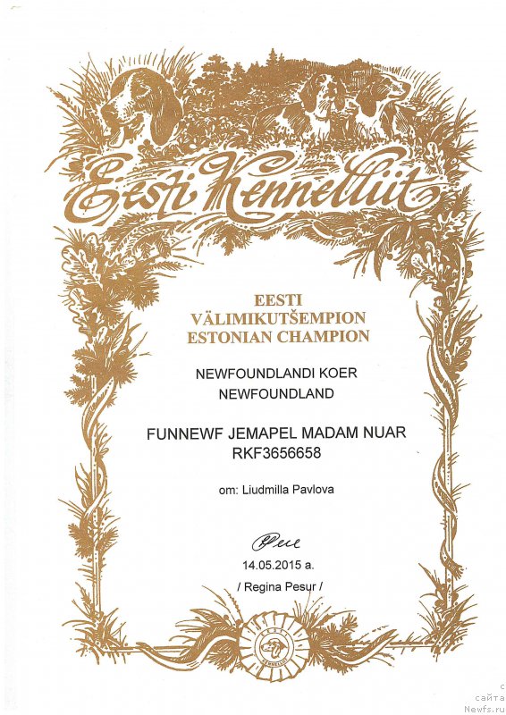 Фотография № 182153