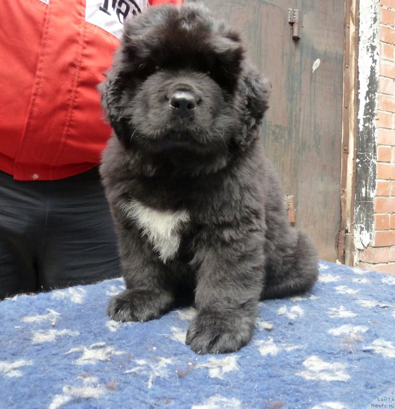 Фотография № 182154