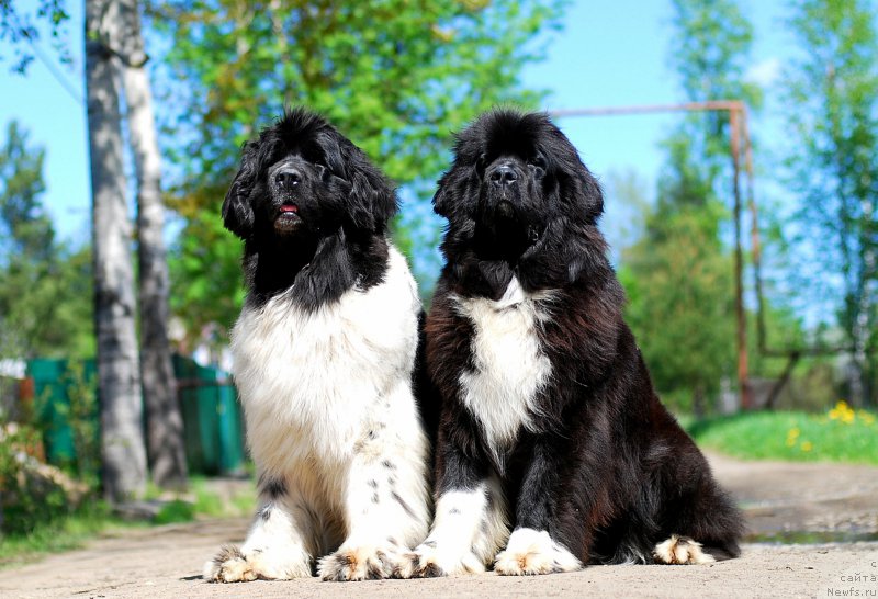 Фотография № 182156