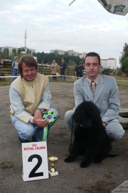 Фото: судья Белкин Алексей, ньюфаундленд Элегия Моря, Дмитрий Петров