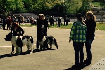 Фотография № 182189