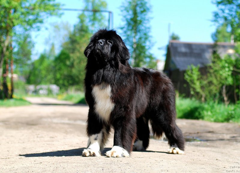 Фотография № 182198