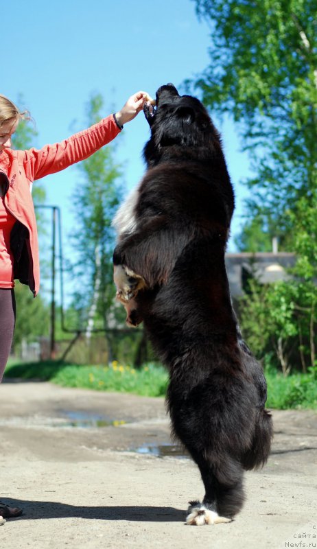 Фотография № 182200