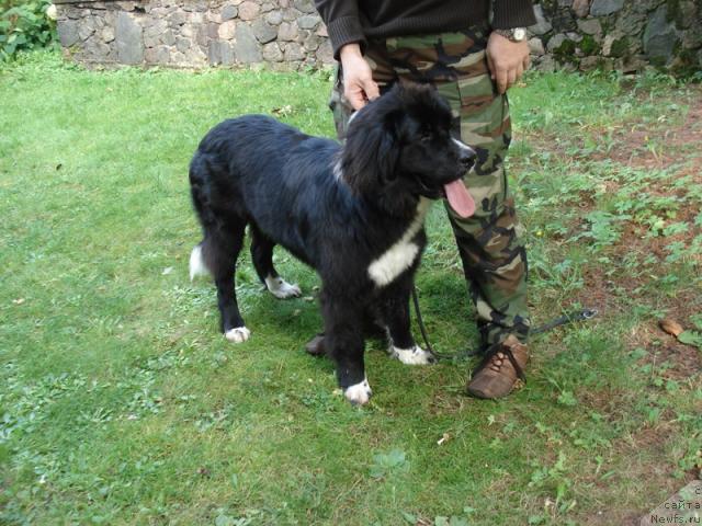 Фотография № 18221