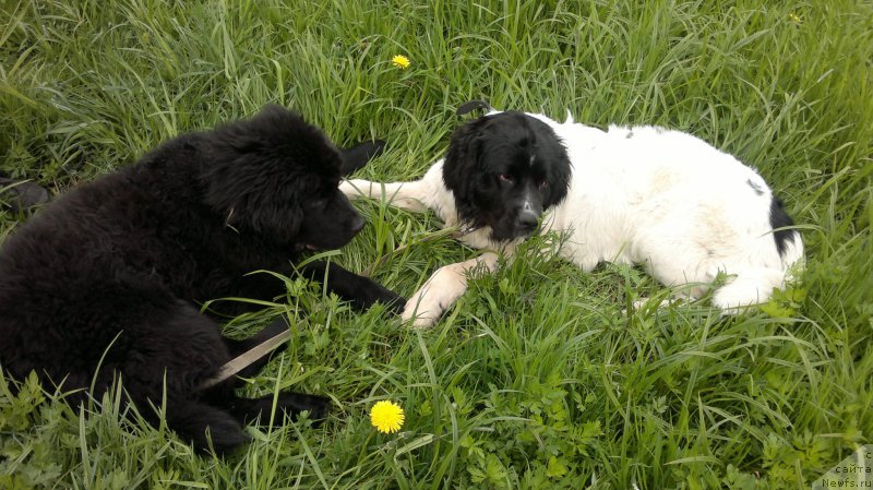 Фотография № 182216