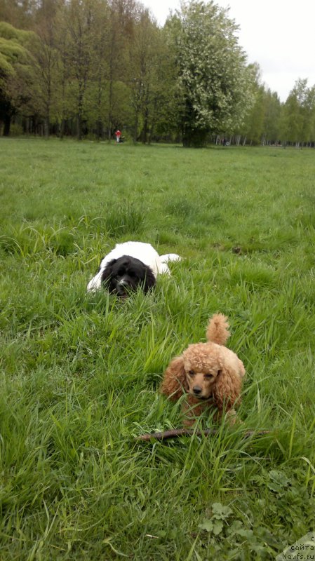 Фотография № 182217