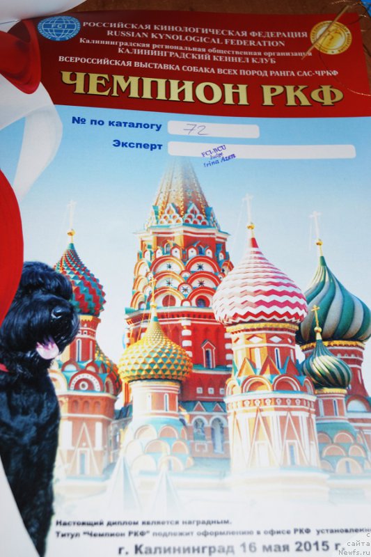 Фотография № 182244