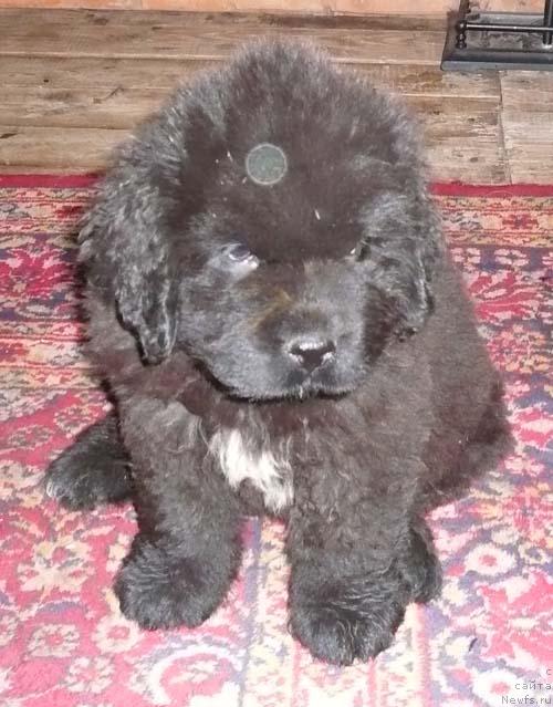 Фотография № 18226