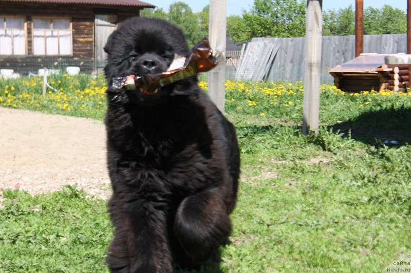 Фотография № 182266