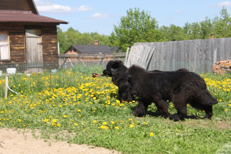 Фотография № 182267