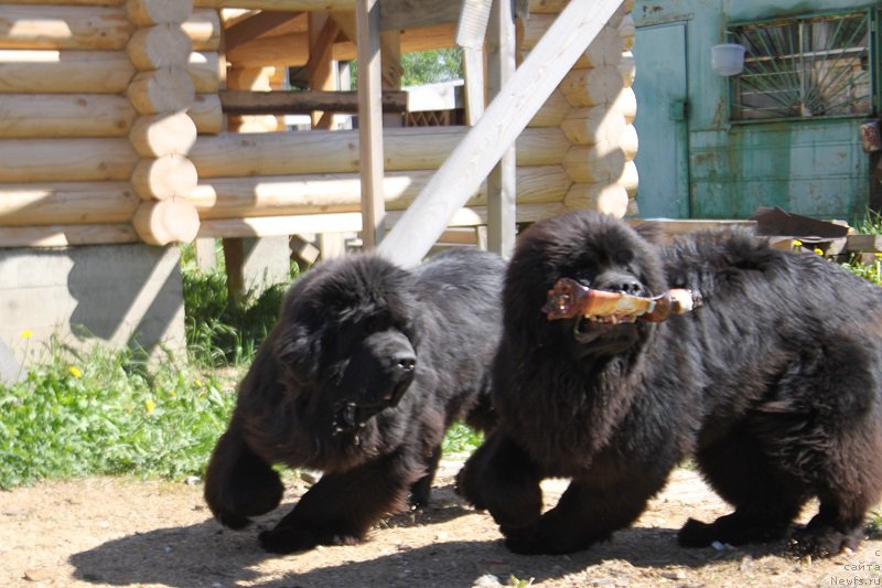 Фотография № 182270