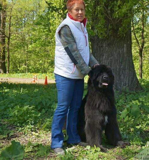 Фотография № 182285