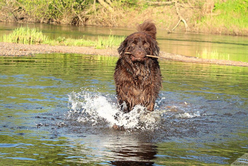 Фотография № 182304