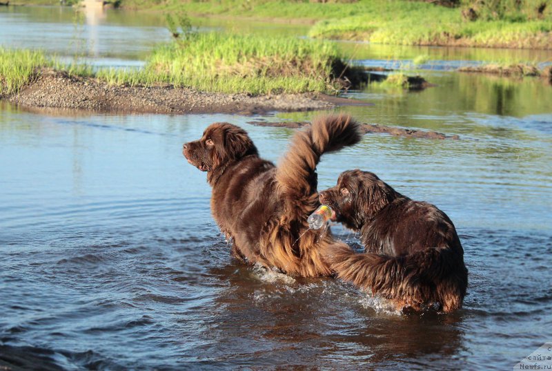 Фотография № 182305