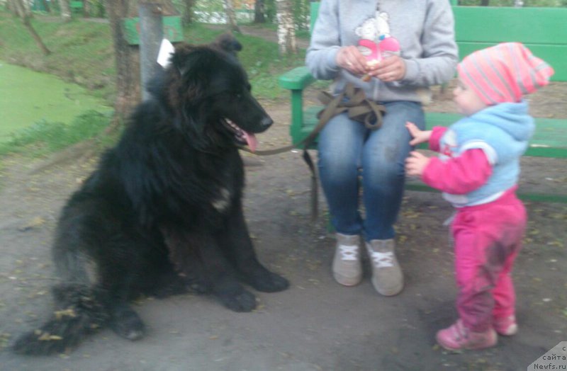 Фотография № 182315