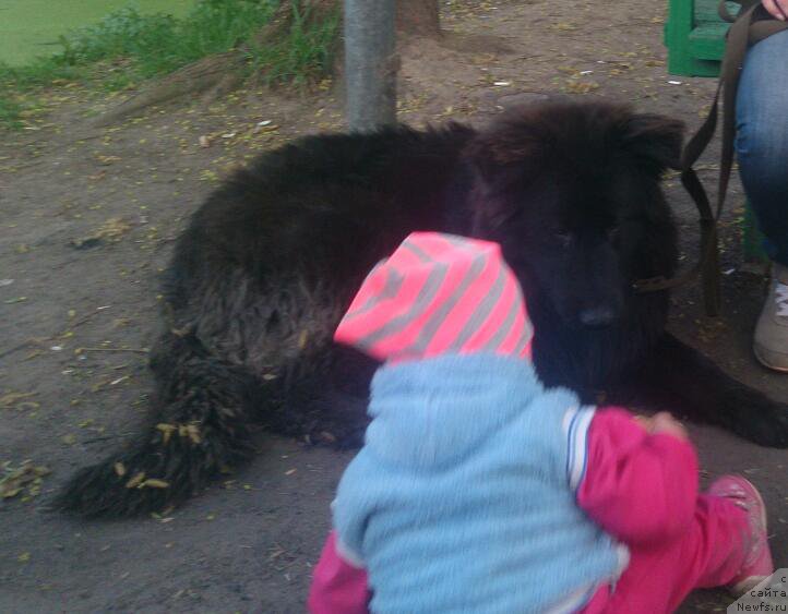 Фотография № 182316