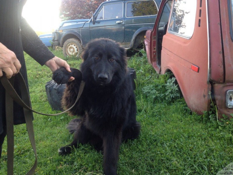 Фотография № 182317