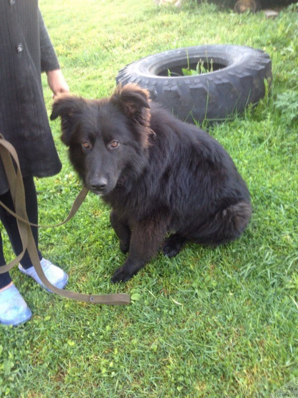 Фотография № 182318