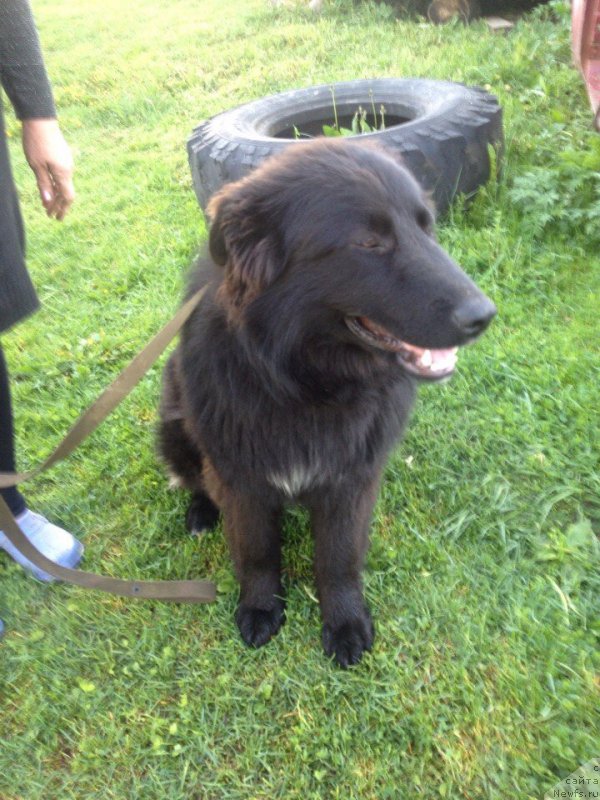 Фотография № 182319