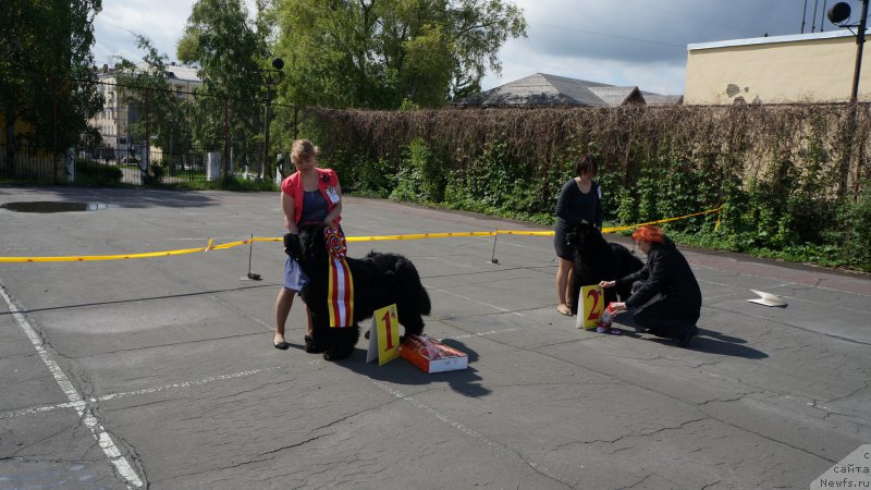 Фотография № 182333