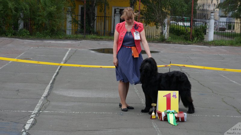 Фотография № 182337