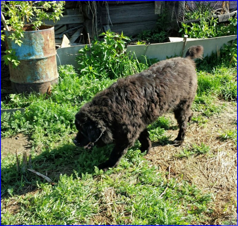 Фотография № 182340