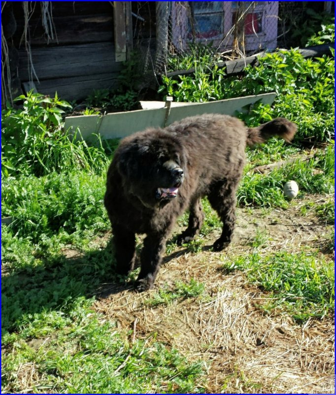 Фотография № 182341