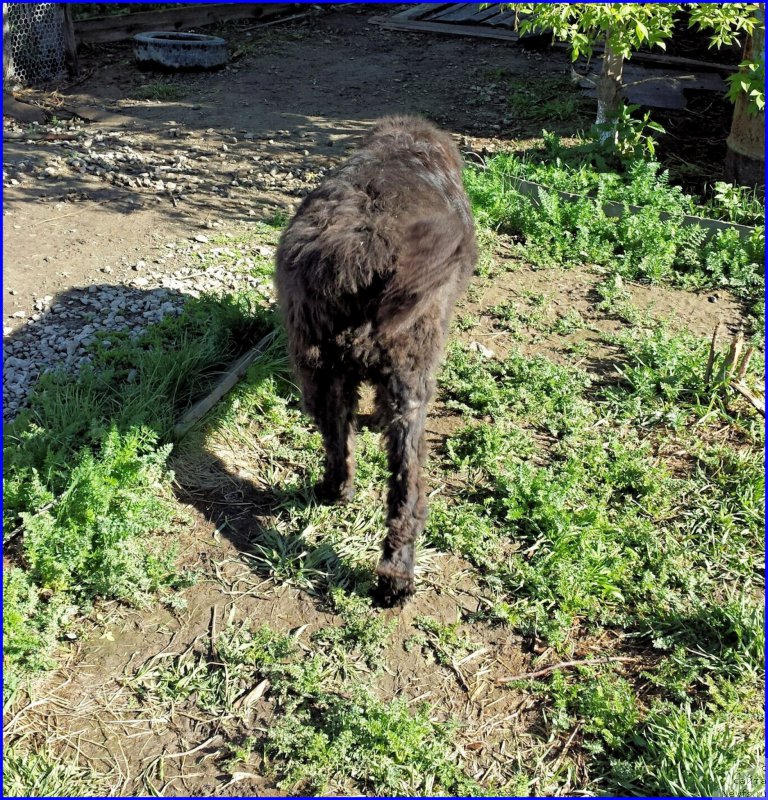 Фотография № 182342