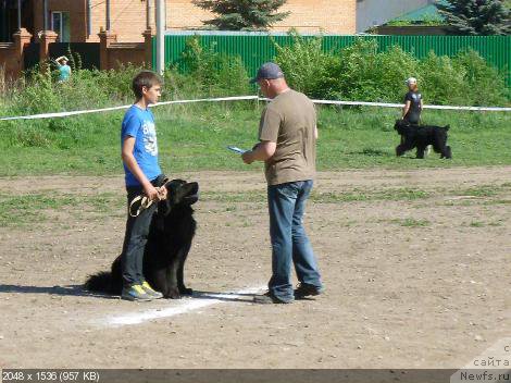 Фотография № 182359