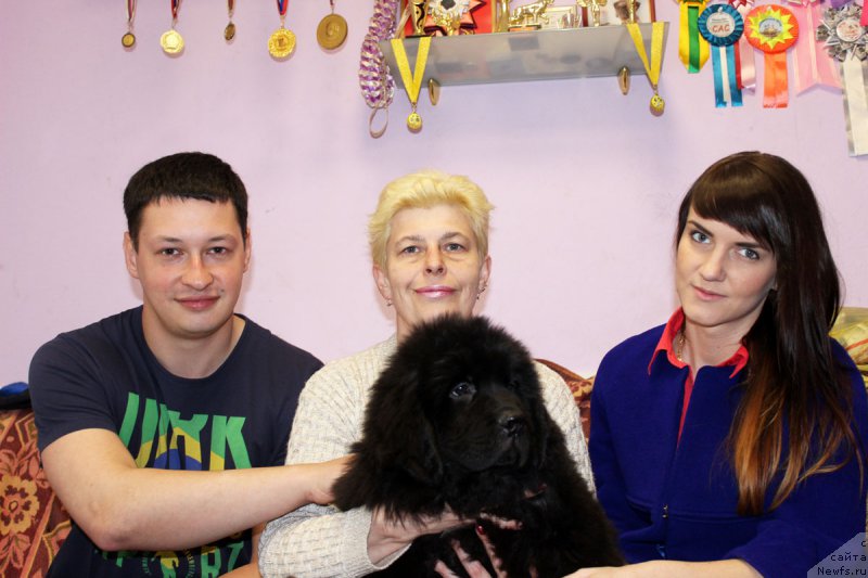 Фото: ньюфаундленд Черный Балу Евангелина