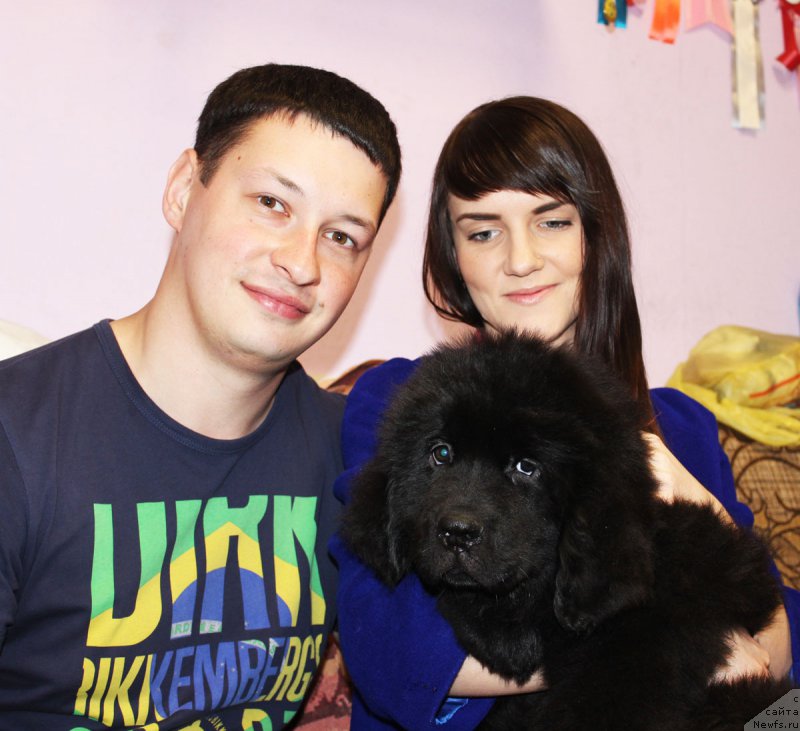 Фото: ньюфаундленд Черный Балу Евангелина