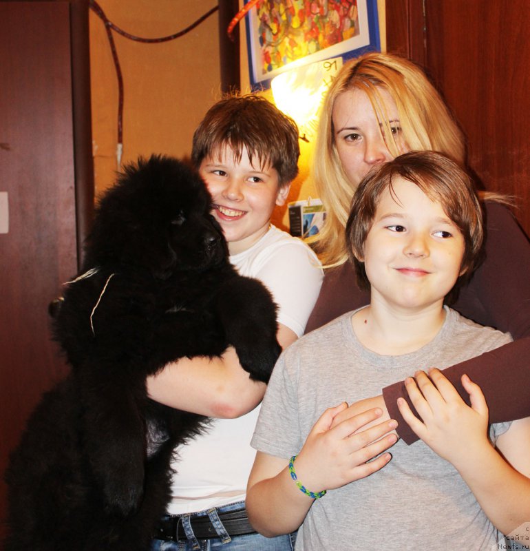 Фотография № 182366