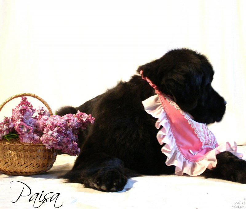 Фотография № 182371