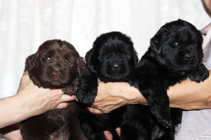 Фотография № 182387