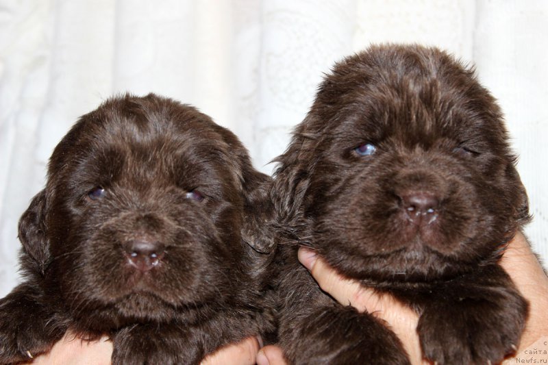 Фотография № 182388