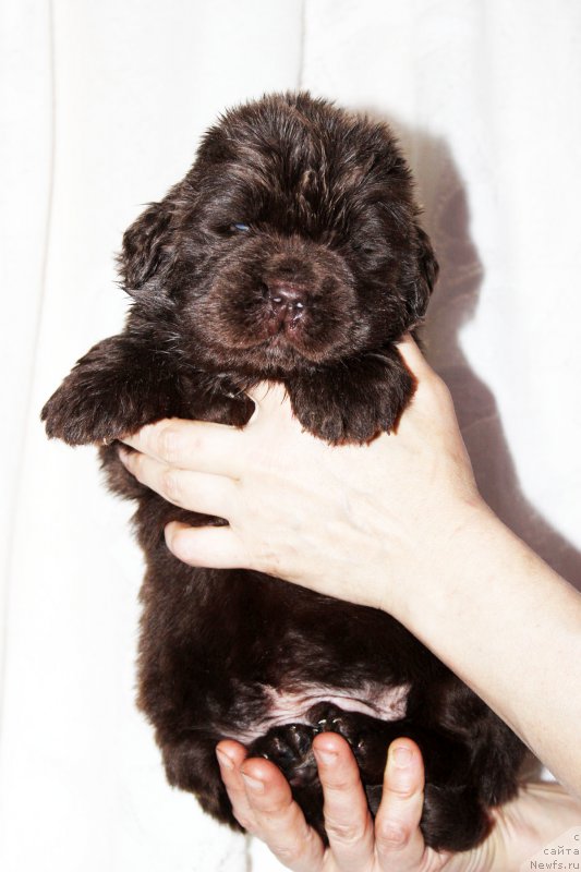 Фотография № 182392