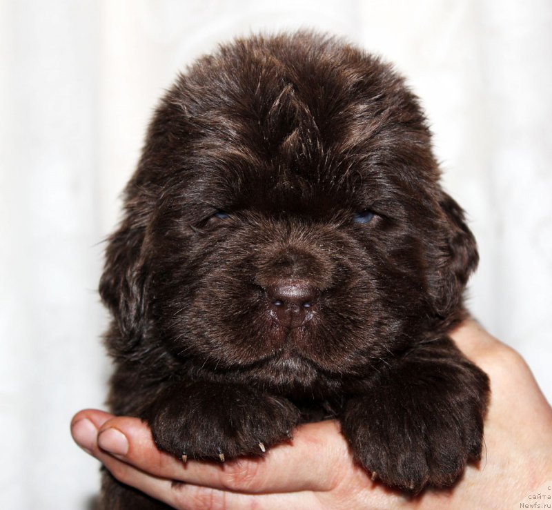 Фотография № 182393