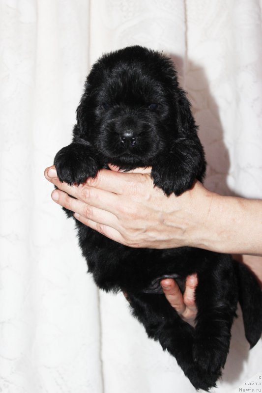 Фотография № 182397