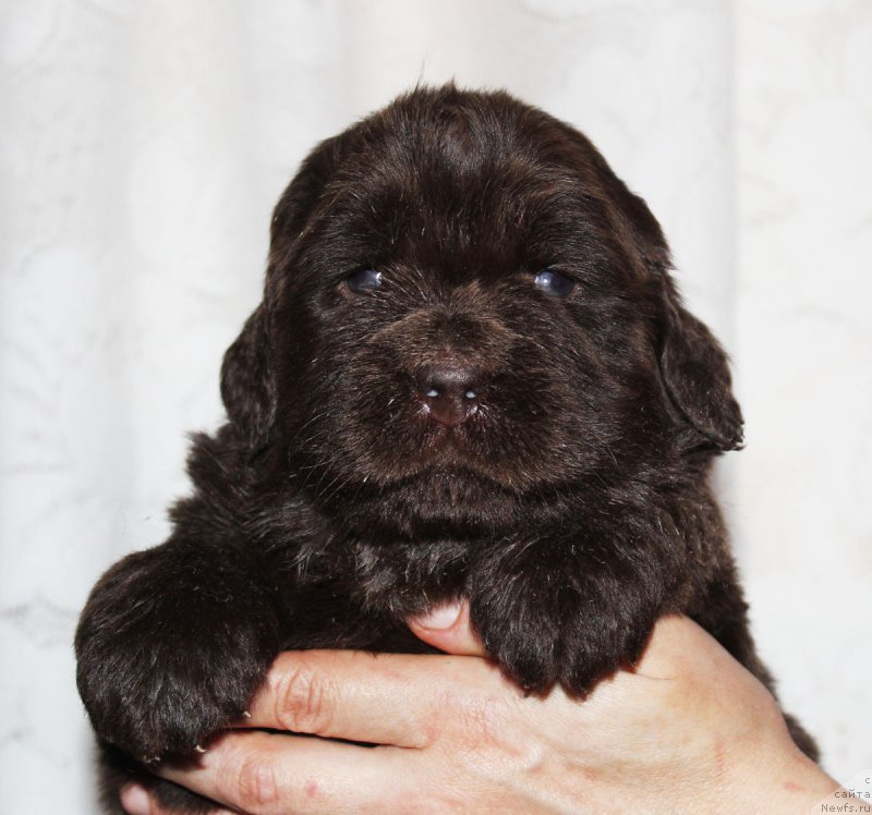 Фотография № 182399