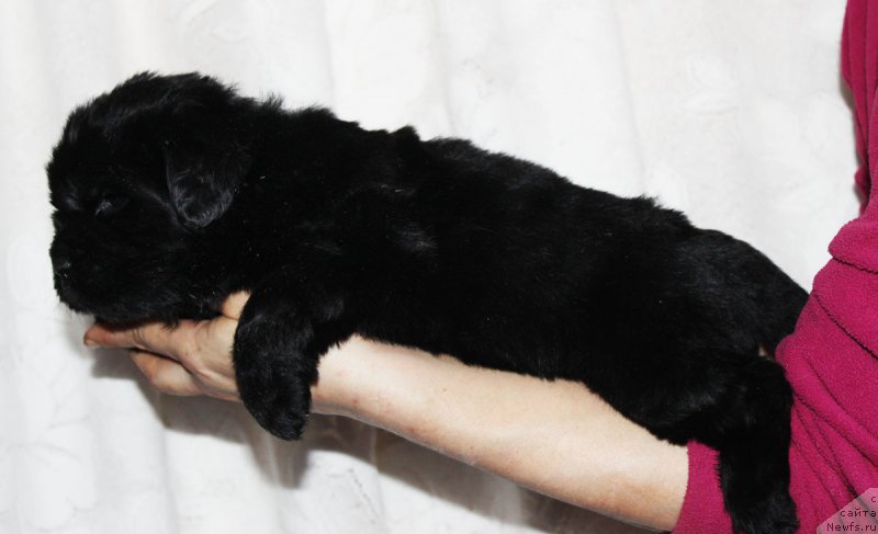 Фотография № 182402