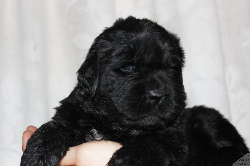 Фотография № 182403