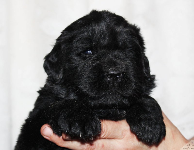 Фотография № 182404