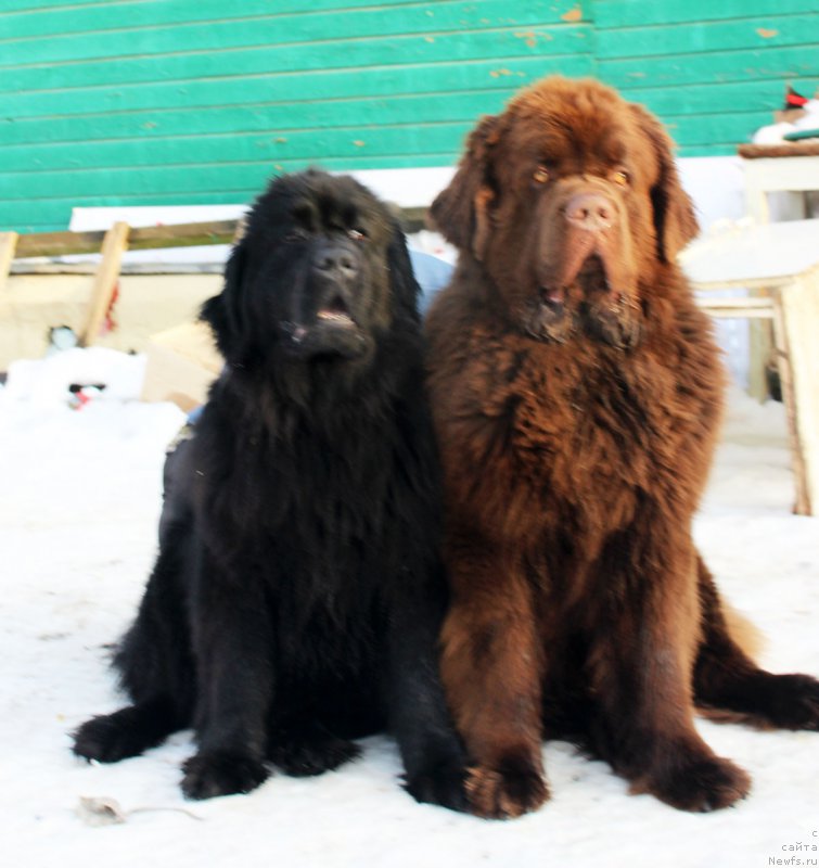 Фотография № 182418