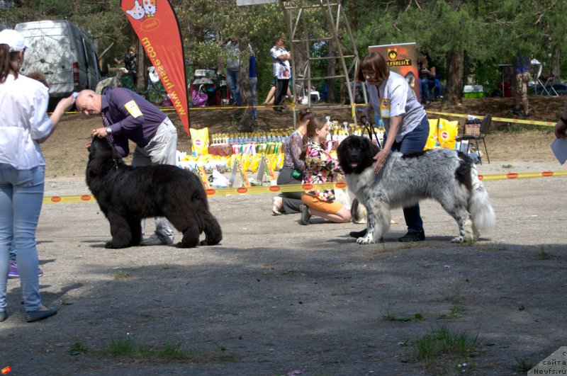 Фотография № 182467