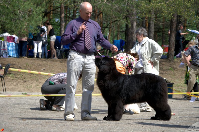 Фотография № 182475