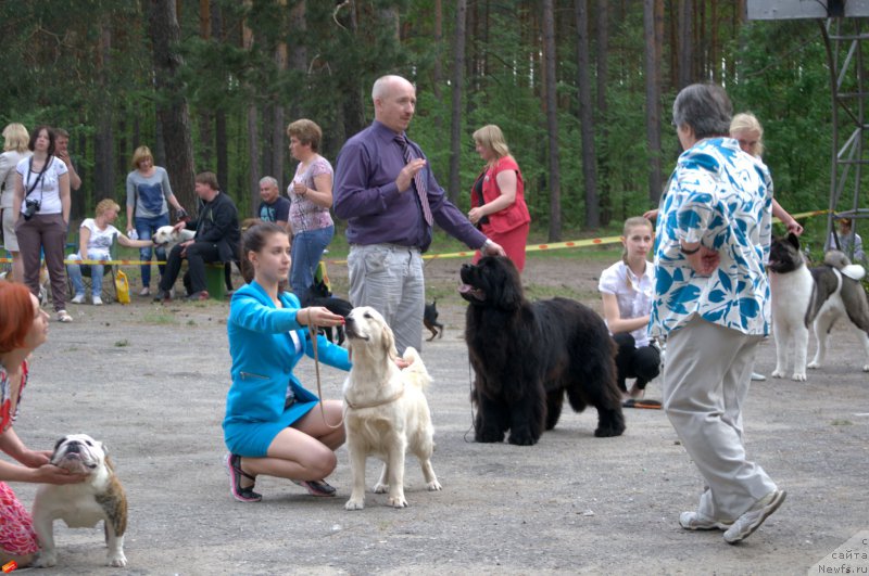 Фотография № 182506