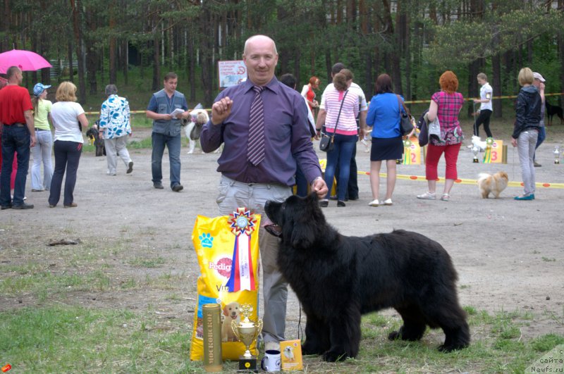 Фотография № 182523