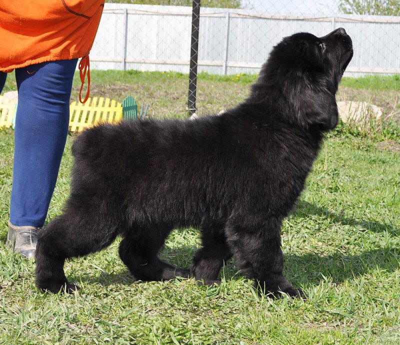 Фотография № 182533