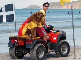 Фотография № 18258